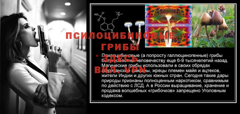 mega ССЫЛКА  Великие Луки  Псилоцибиновые грибы Cubensis 